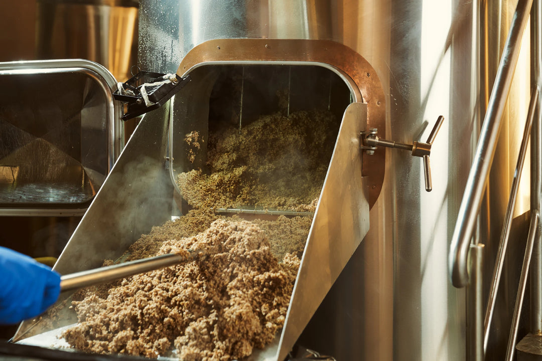 Spent Brewery Grain: A Nutritional Boost for Your Canine Companion